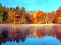 leikur Fishing Simulator Online