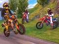 leikur Motocross Driving Simulator