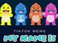leikur TikTok Meme My Name Is