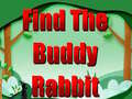 leikur Find The Buddy Rabbit