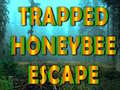 leikur Trapped Honeybee Escape