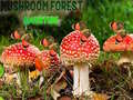 leikur Mushroom Forest Adventure