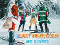 leikur Ski Resort Hidden Snowflakes