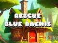 leikur Rescue Blue Dacnis
