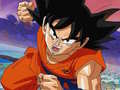 leikur Dragon Ball Treasure Hunter