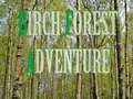leikur Birch Forest Adventure