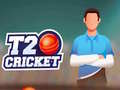 leikur T20 Cricket