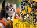 leikur Puzzle Sliding Kittens