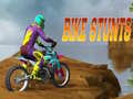 leikur Bike Stunts 