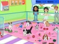 leikur Puppy Pet Care