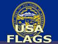 leikur Usa Flags 