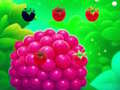 leikur Sweet Raspberry