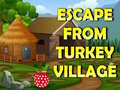 leikur Escape From Turkey Village