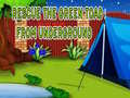 leikur Rescue The Green Toad From Underground