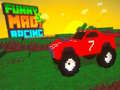 leikur Funny Mad Racing