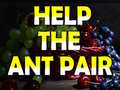 leikur Help The Ant Pair