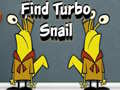 leikur Find Turbo Snail