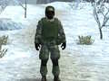 leikur Soldier of Homeland: FPS