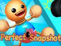 leikur Perfect Snapshot