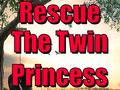 leikur Rescue The Twin Princess