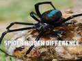 leikur Spider Hidden Difference