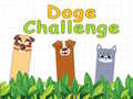 leikur Doge Challenge