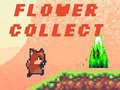 leikur Flower Collect