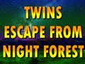 leikur Twins Escape From Night Forest