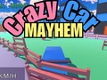 leikur Crazy Car Mayhem
