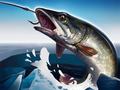 leikur Ice Fishing 3D