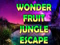 leikur Wonder Fruit Jungle Escape