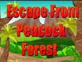leikur Escape From Peacock Forest