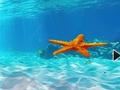 leikur Escape From Underwater Starfish