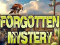 leikur Forgotten Mystery
