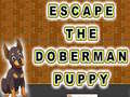 leikur Escape The Doberman Puppy