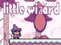 leikur Little Wizard