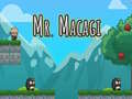 leikur Mr Macagi