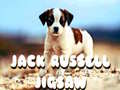 leikur Jack Russell Jigsaw