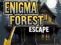leikur Enigma Forest Escape