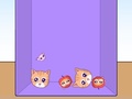 leikur Evolution of Cat Memes
