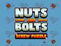 leikur Nuts and Bolts Screw Puzzle