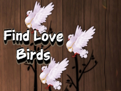 leikur Find Love Birds