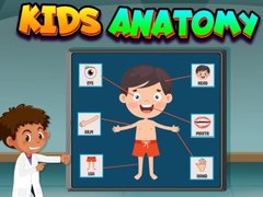 leikur Kids Anatomy