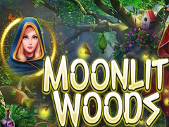 leikur Moonlit Woods