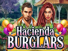 leikur Hacienda Burglars