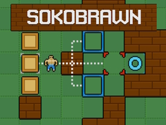 leikur Sokobrawn