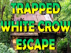 leikur Trapped White Crow Escape