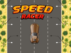 leikur Speed Racer