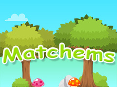 leikur Matchems