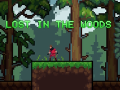 leikur Lost in the Woods